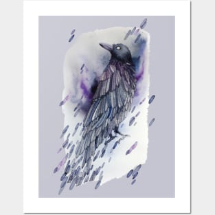 Crow Posters and Art